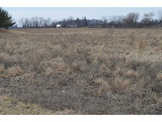 24 Grassland Acres - 20+/- Acres Wooded & 24+/- Acres Grassland, LAND AUCTION